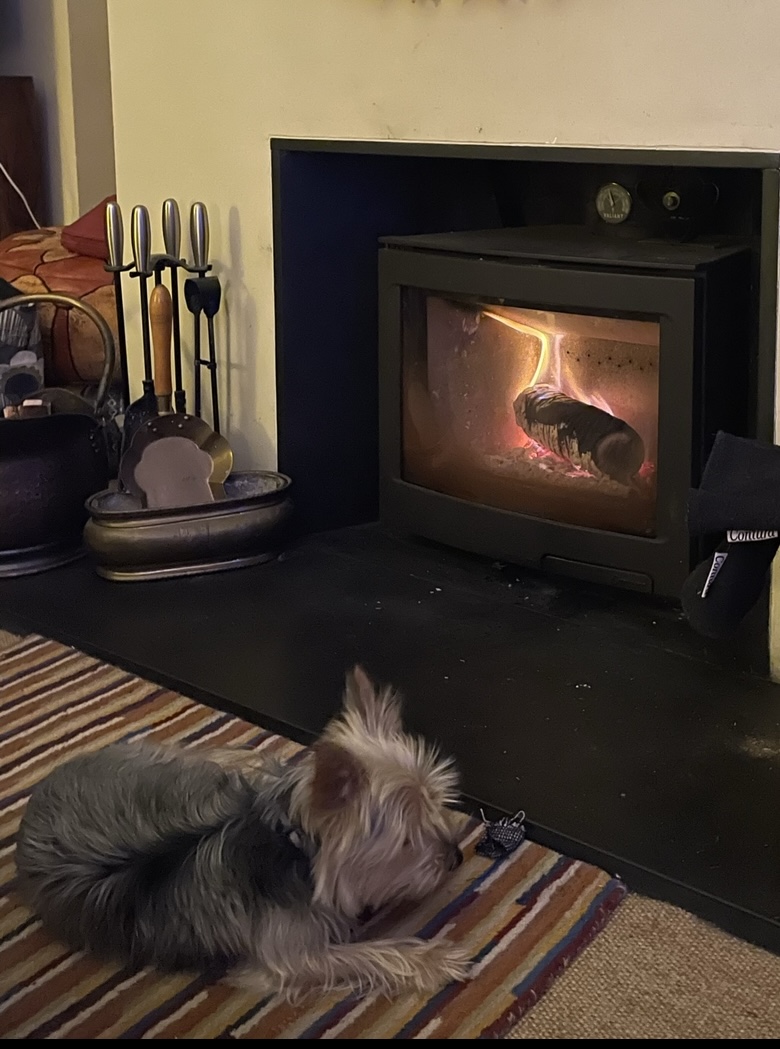 A lit inset stove with a small dog asleep on the rug in front